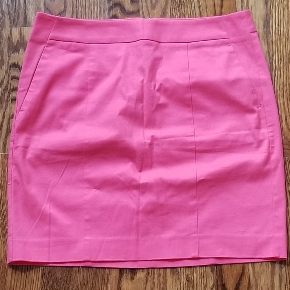 Ann Taylor Madison Skirt